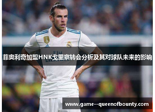 菲奥利奇加盟HNK戈里察转会分析及其对球队未来的影响